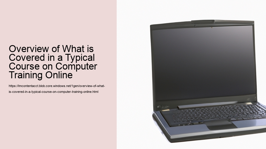 Overview of What is Covered in a Typical Course on Computer Training Online  